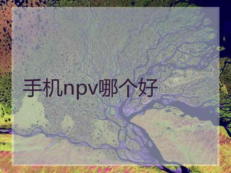 手机npv哪个好