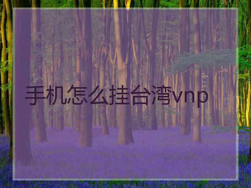 手机怎么挂台湾vnp