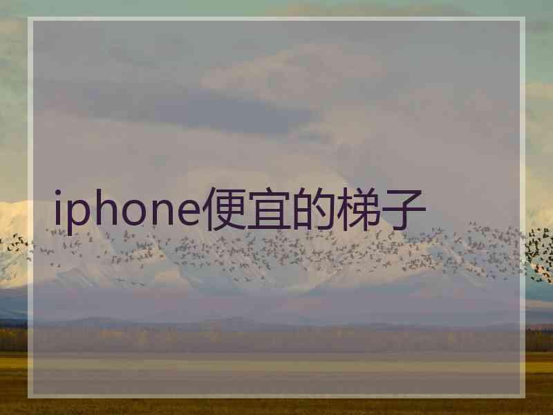 iphone便宜的梯子