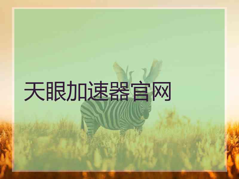 天眼加速器官网