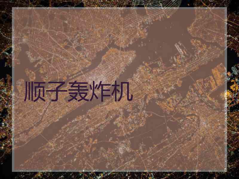 顺子轰炸机