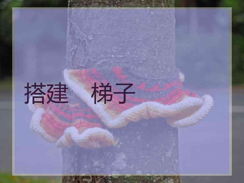 搭建　梯子
