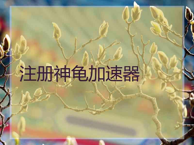 注册神龟加速器