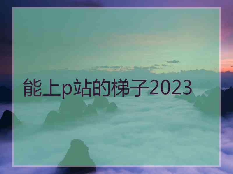能上p站的梯子2023