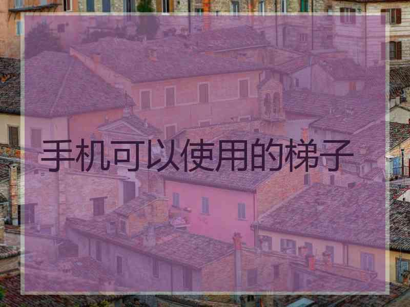 手机可以使用的梯子