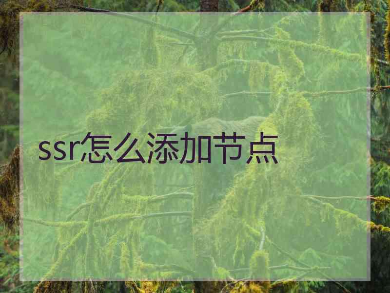 ssr怎么添加节点