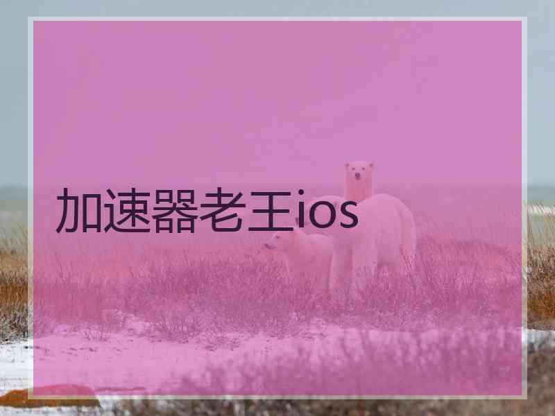 加速器老王ios