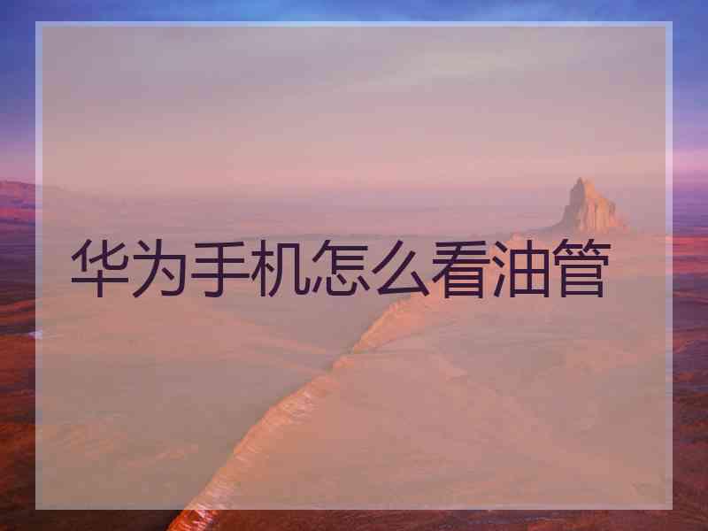 华为手机怎么看油管