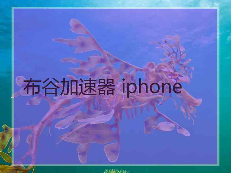 布谷加速器 iphone