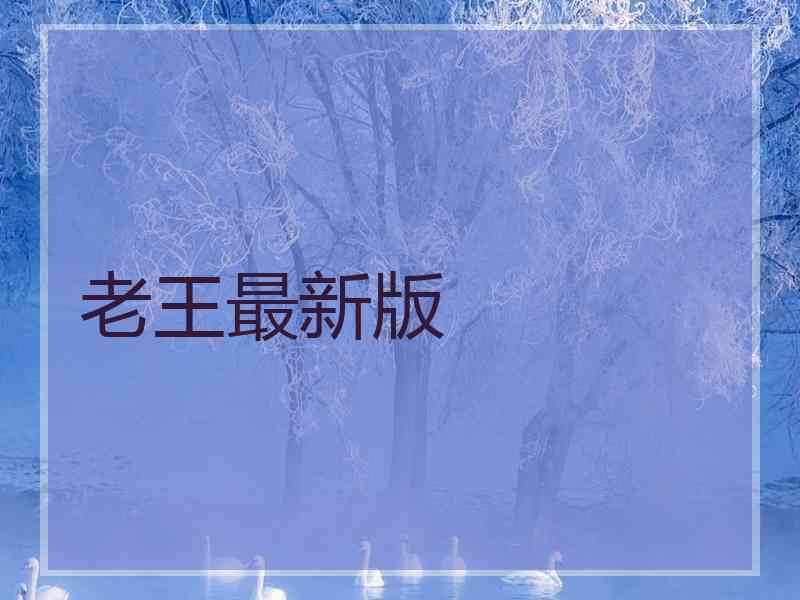 老王最新版