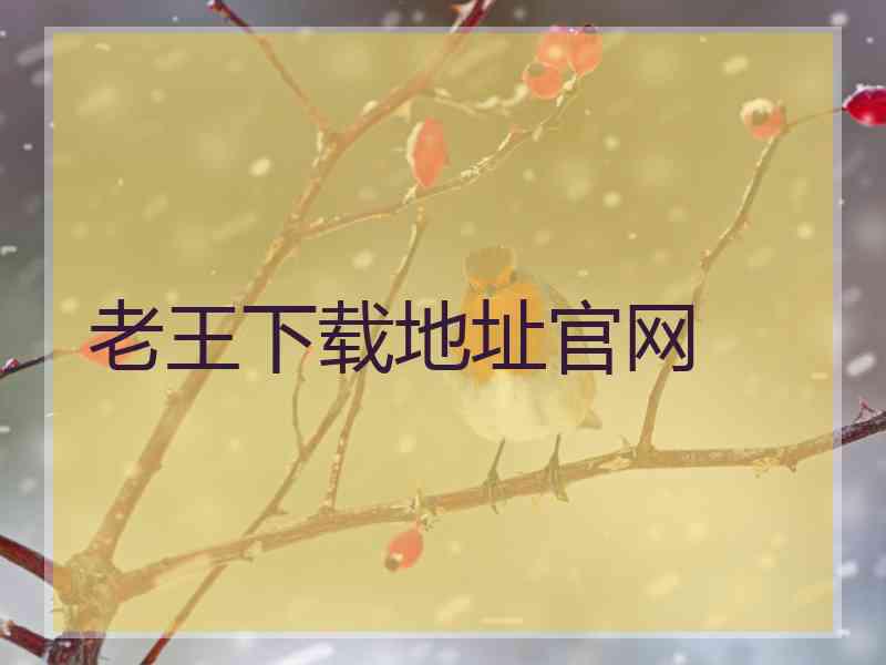 老王下载地址官网