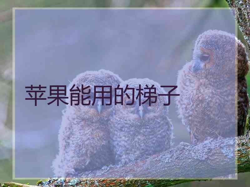 苹果能用的梯子