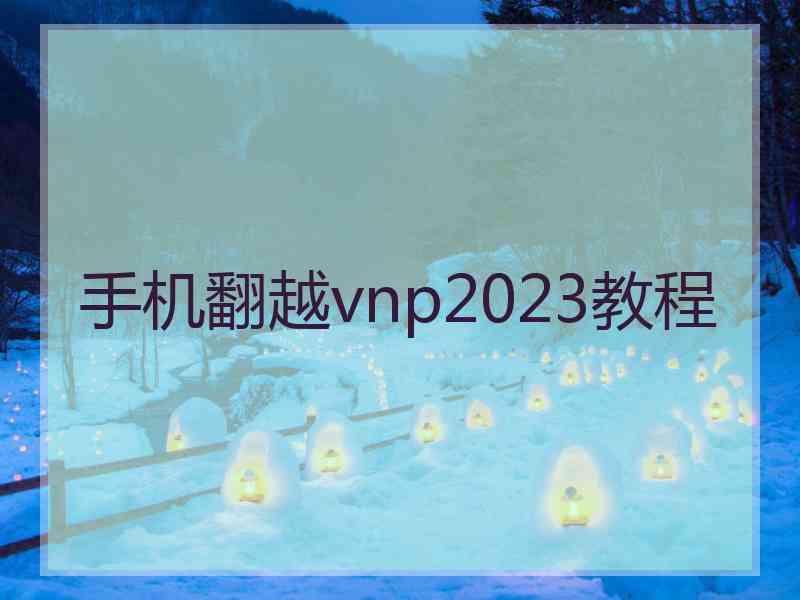 手机翻越vnp2023教程