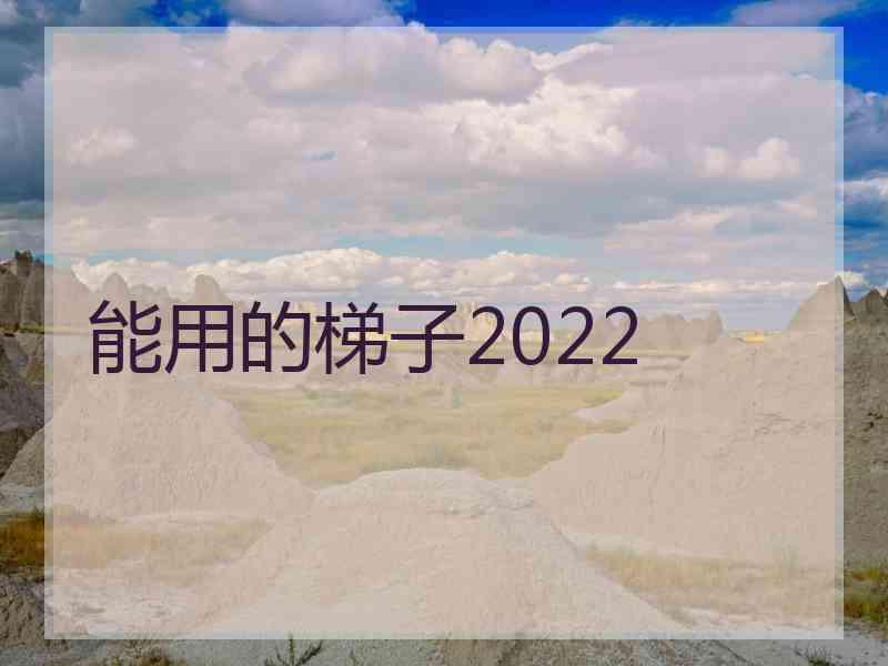 能用的梯子2022