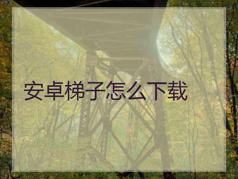 安卓梯子怎么下载