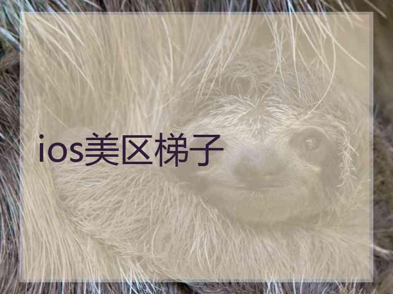 ios美区梯子