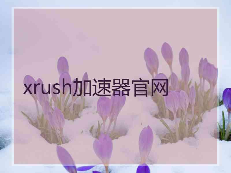 xrush加速器官网