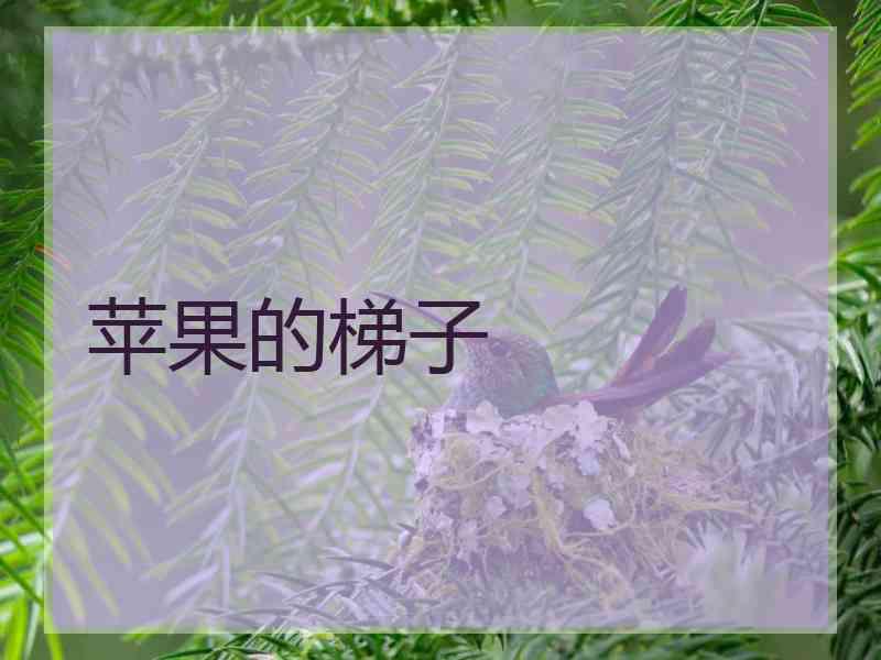 苹果的梯子