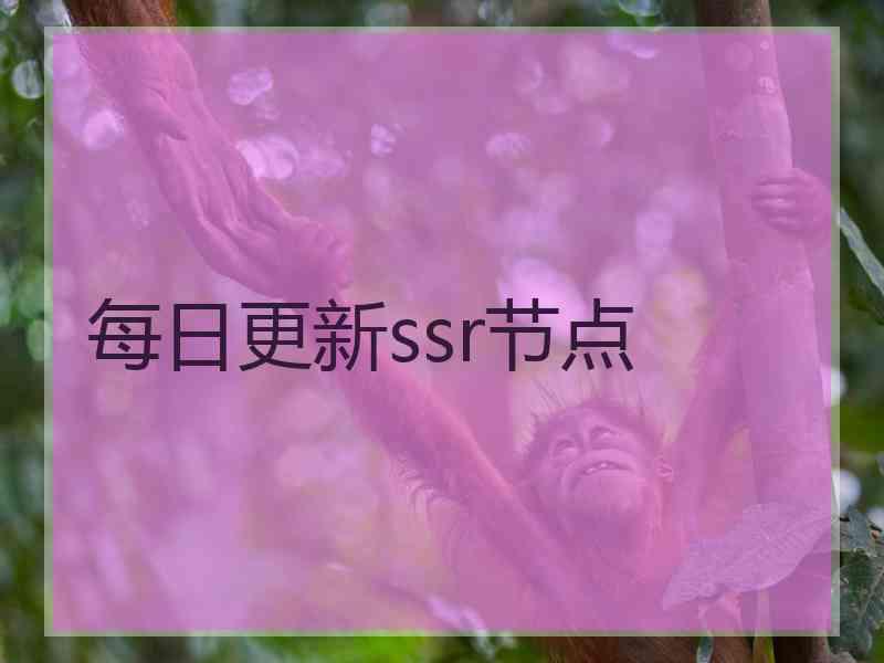 每日更新ssr节点