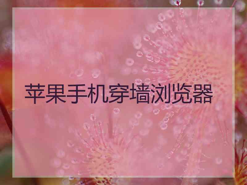 苹果手机穿墙浏览器