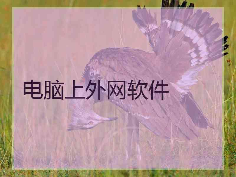 电脑上外网软件