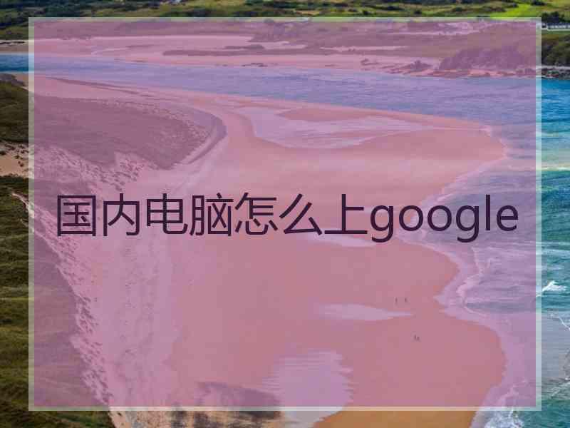 国内电脑怎么上google