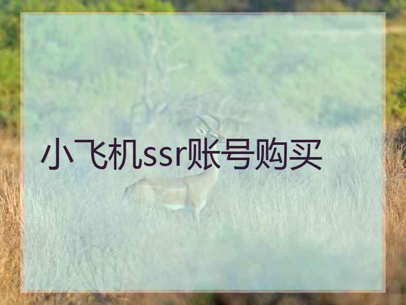 小飞机ssr账号购买