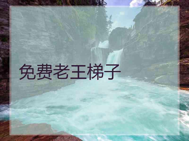 免费老王梯子