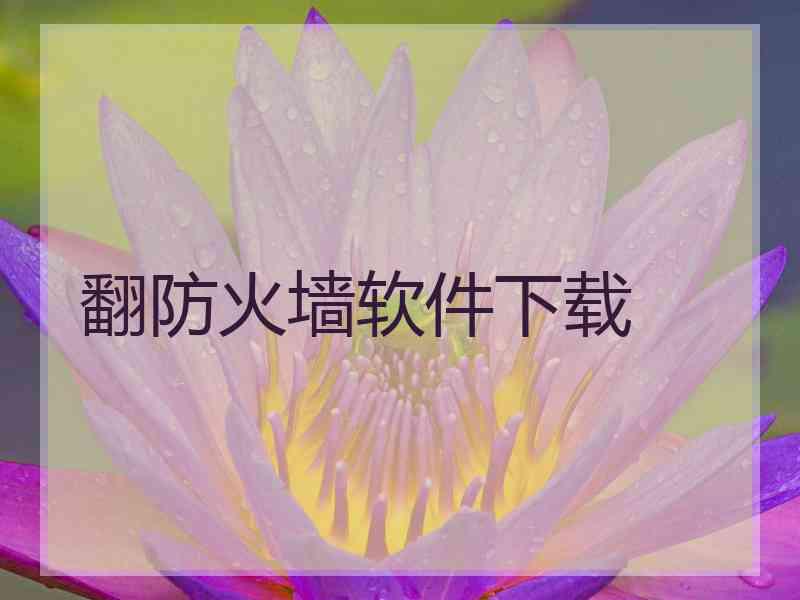 翻防火墙软件下载