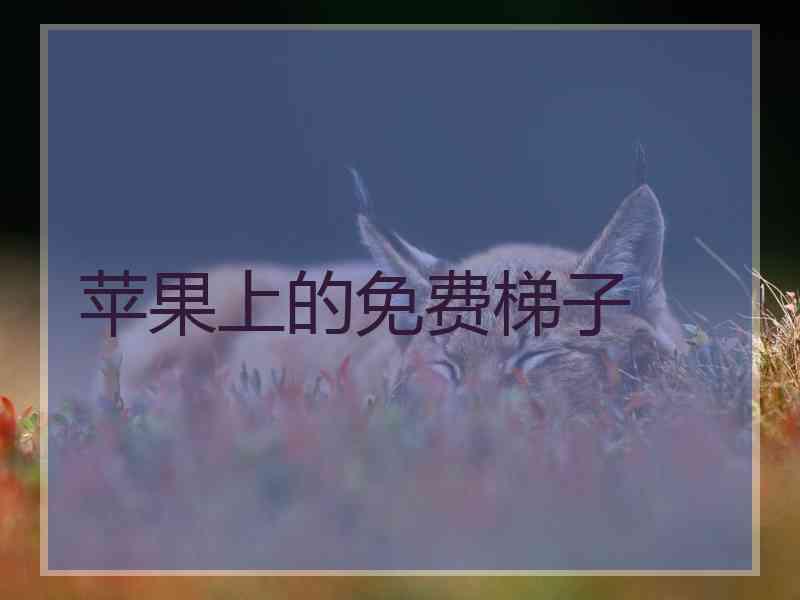 苹果上的免费梯子