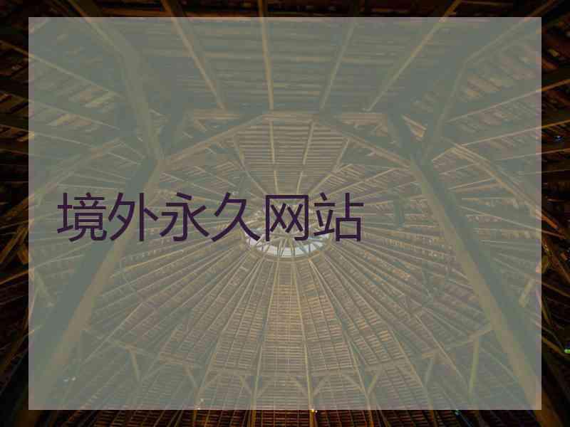 境外永久网站