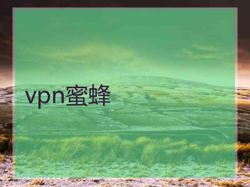 vpn蜜蜂