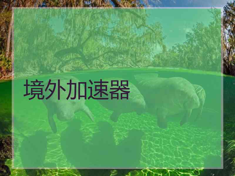 境外加速器