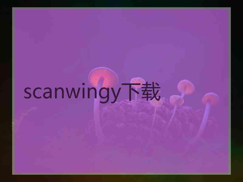 scanwingy下载