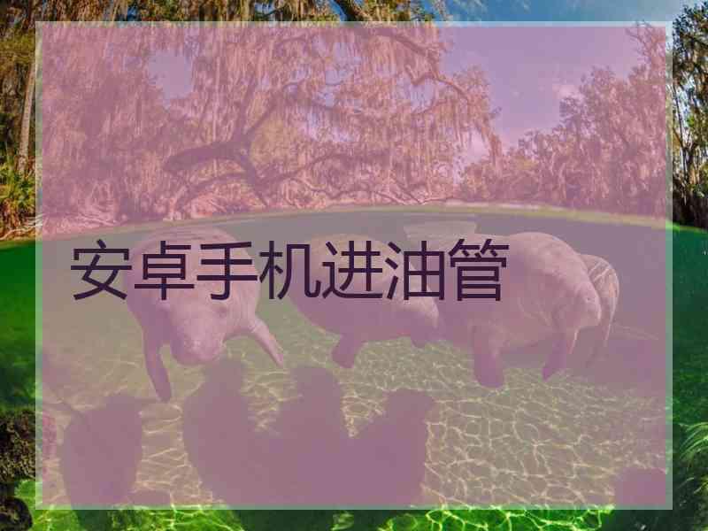 安卓手机进油管