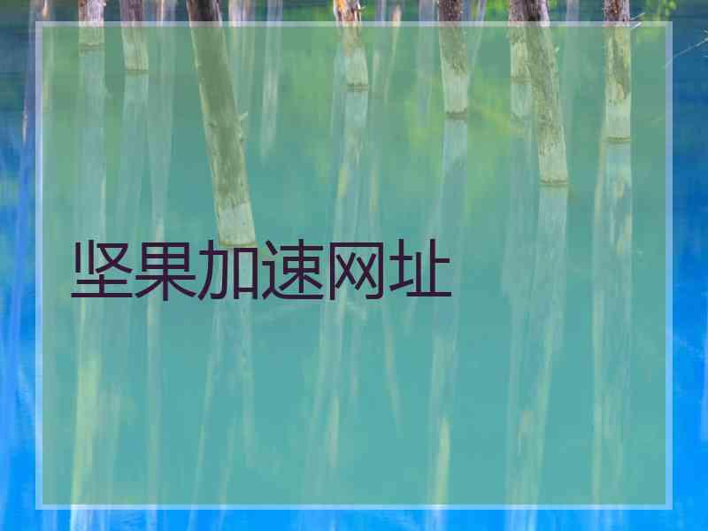 坚果加速网址