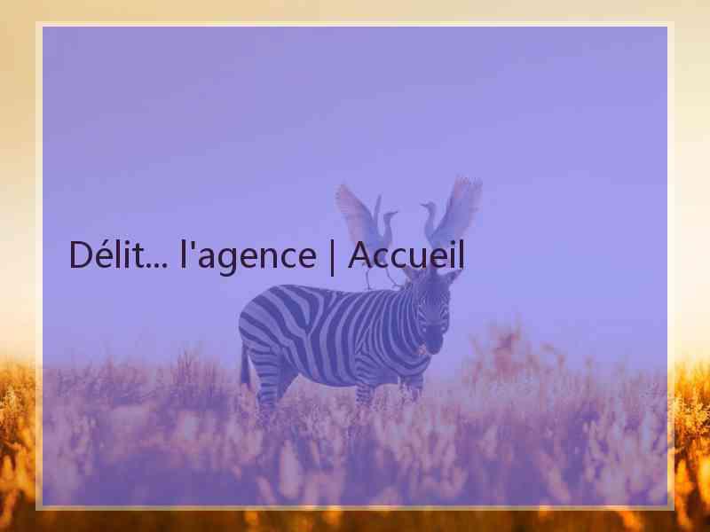 Délit... l'agence | Accueil
