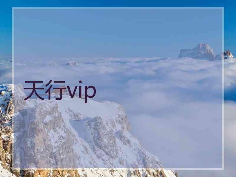 天行vip