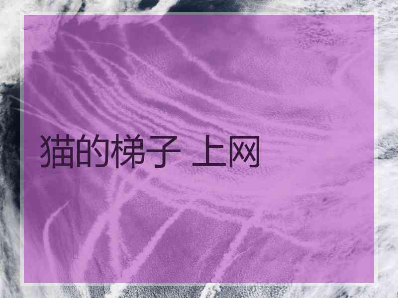 猫的梯子 上网