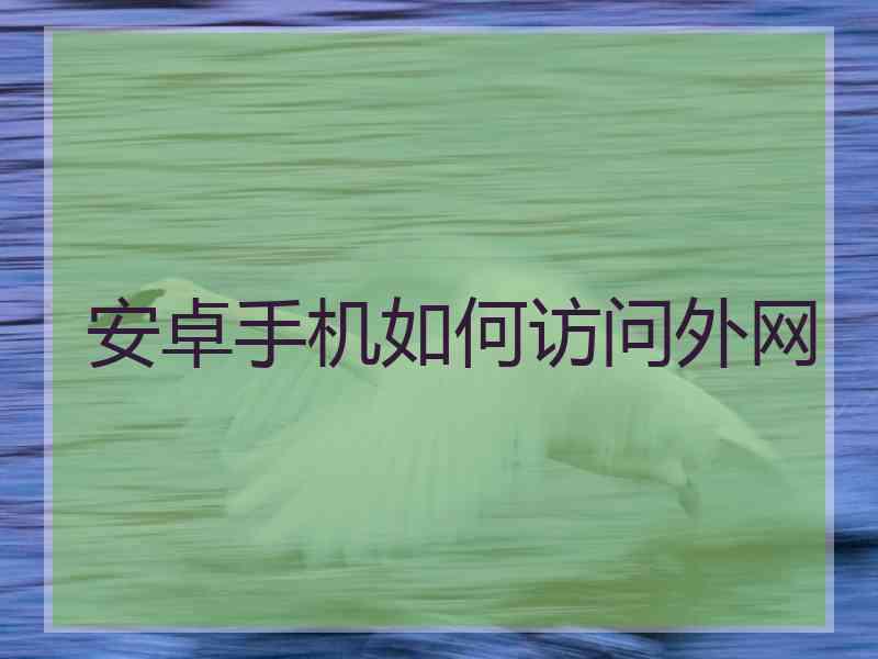 安卓手机如何访问外网