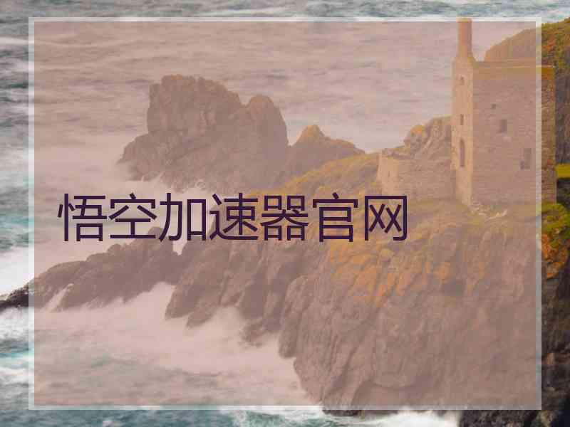 悟空加速器官网