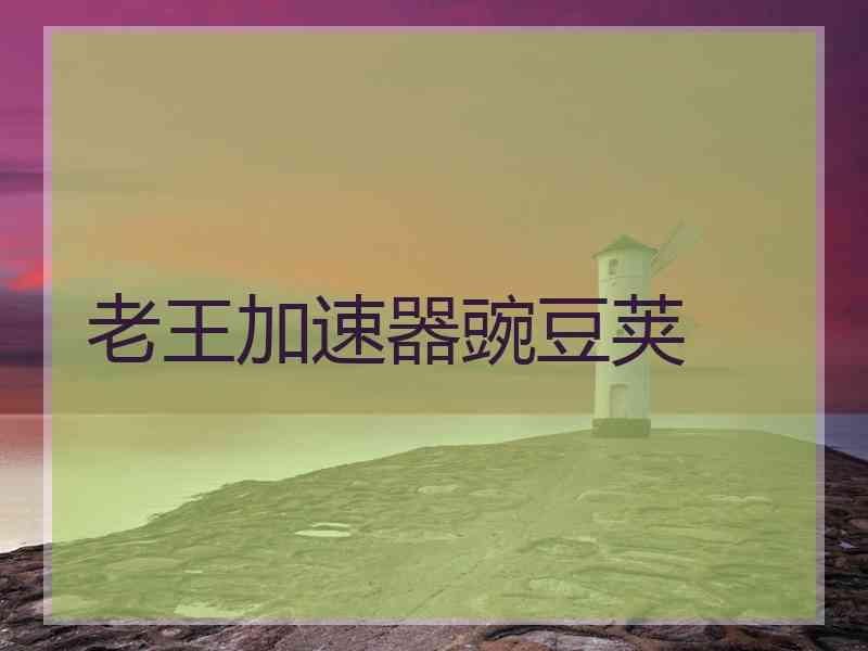 老王加速器豌豆荚