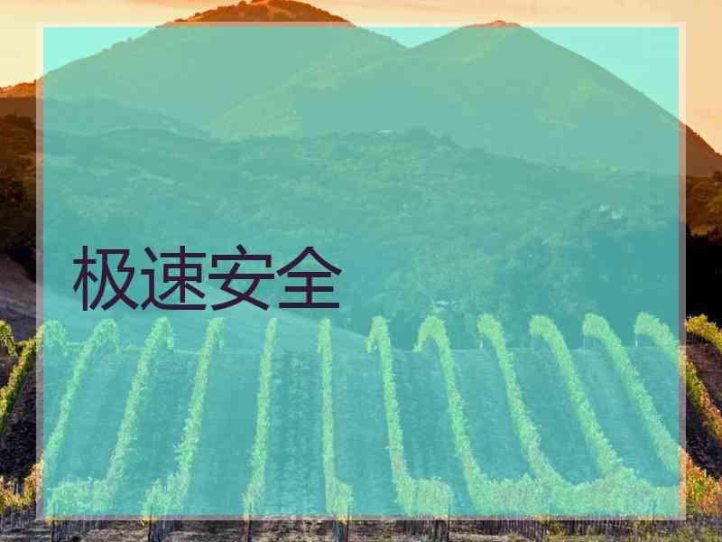 极速安全