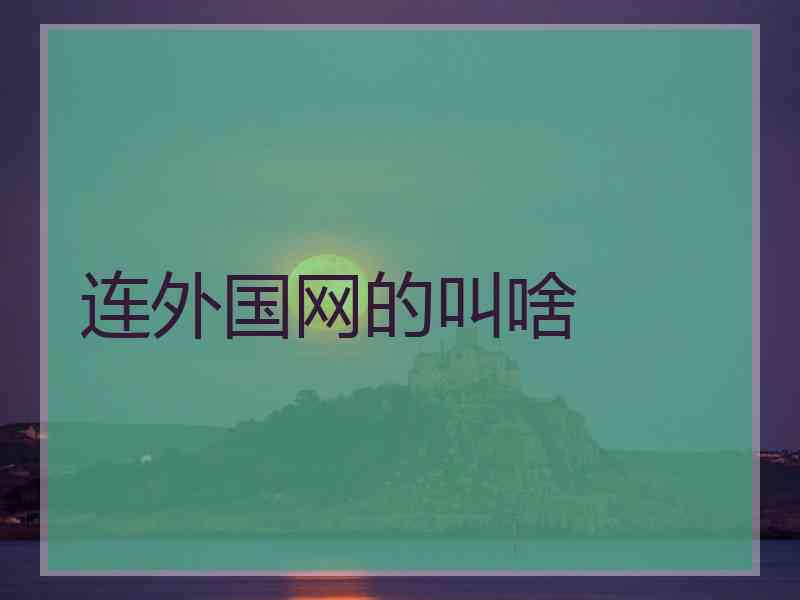 连外国网的叫啥