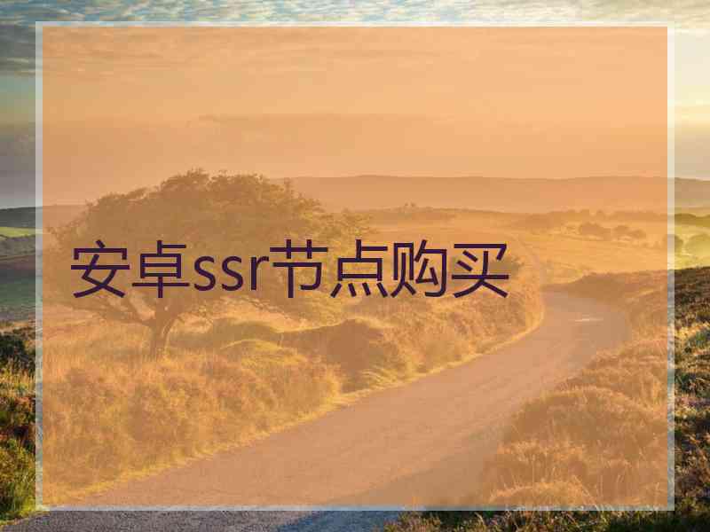 安卓ssr节点购买