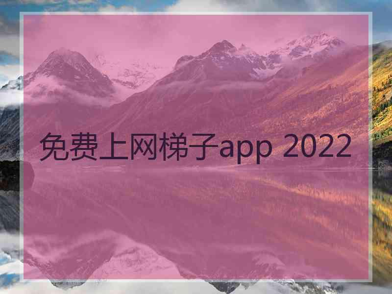 免费上网梯子app 2022