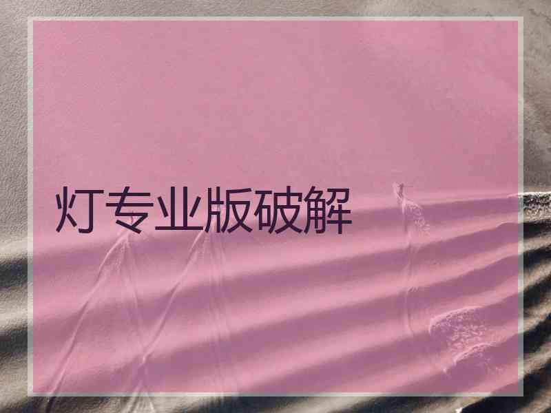 灯专业版破解