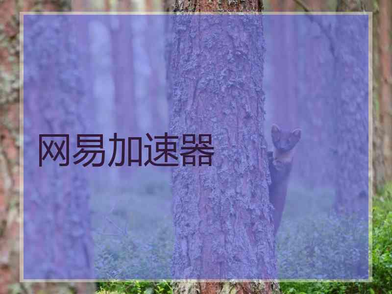 网易加速器