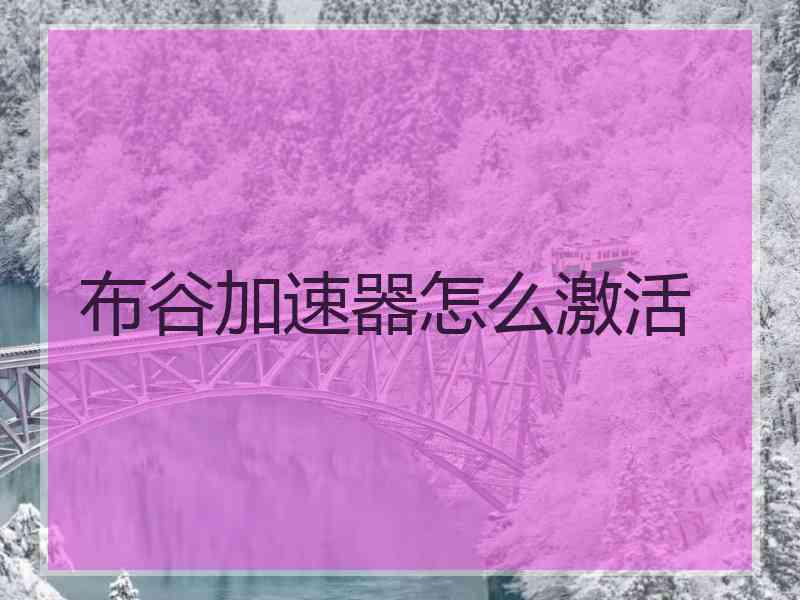 布谷加速器怎么激活