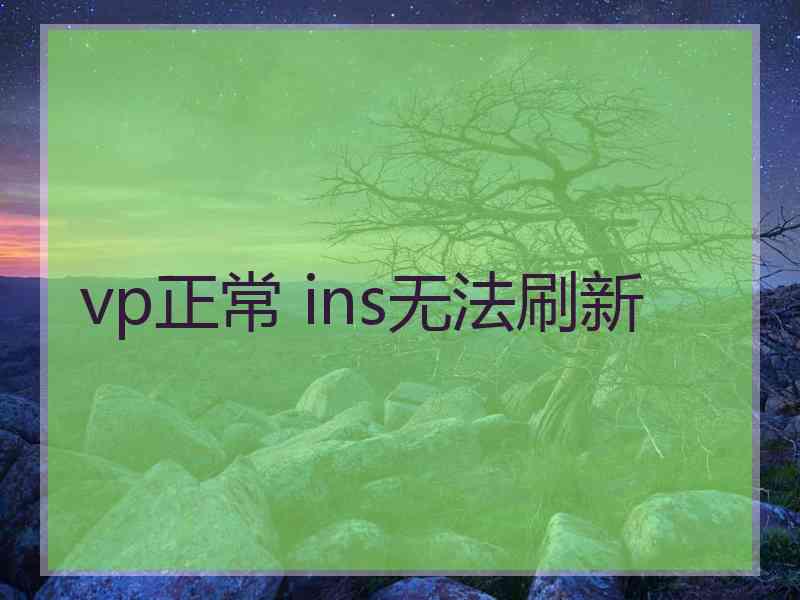 vp正常 ins无法刷新
